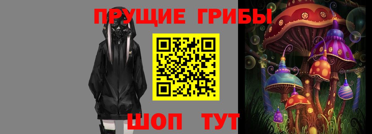 Нерюнгри  Галлюциногенные грибы GOLDEN TEACHER  Вход с VPN  продажа наркотиков  Псилоцибиновые грибы прущие грибы 